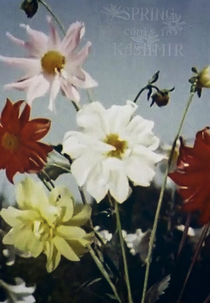 Spring Comes to Kashmir (Spring Comes to Kashmir)