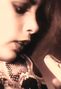 Ozzy Osbourne: Crazy Babies (Ozzy Osbourne: Crazy Babies)