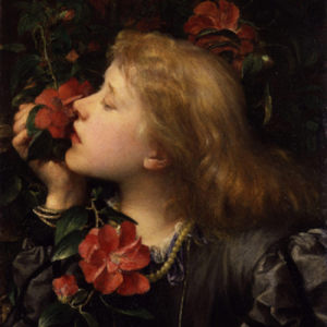 Foto de perfil de Amanda