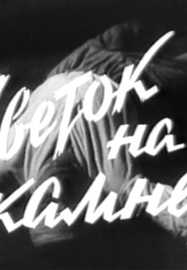 Flor Sobre a Pedra (Tsvetok na Kamne)