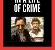 One Year in a Life of Crime