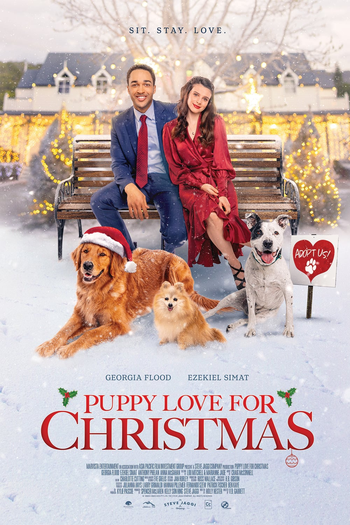  de Filme Adotando Amor no Natal (2021)