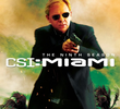 CSI: Miami (9ª Temporada)