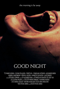 Good Night - Poster / Capa / Cartaz - Oficial 1