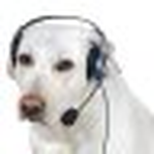 Foto de perfil de call me maybe