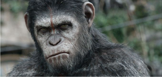 Veja o Trailer internacional de Planeta dos Macacos: O Confronto, com
