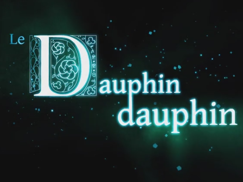 Foto 1 de Le Dauphin Dauphin