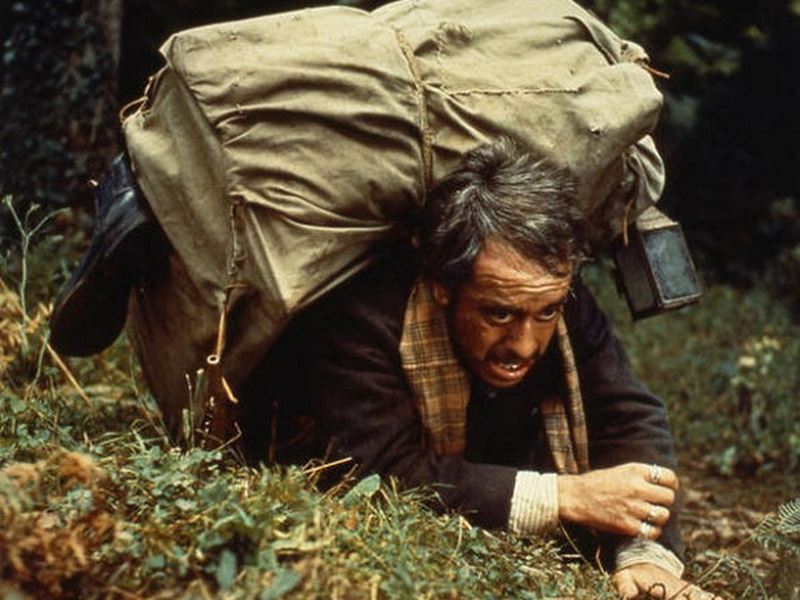 Foto 6 de El bosque del lobo