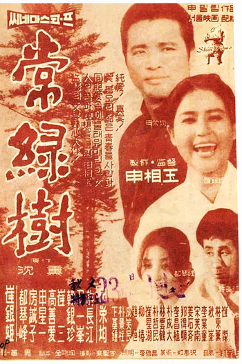 Poster de Filme Evergreen Tree (1961)
