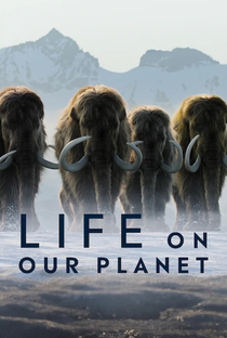 A Vida no Nosso Planeta - Poster / Capa / Cartaz - Oficial 3
