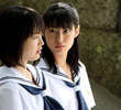 （８）「１８歳の決断」