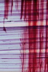 When the Sun Turns Into Juice (When the Sun Turns Into Juice)