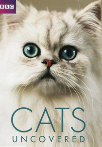 Gatos Investigados (Cats Uncovered)