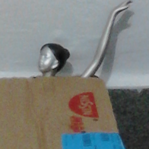 Foto de perfil de Thiago