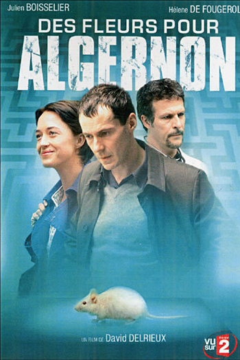 Poster de Filme Flores para Algernon (2006)