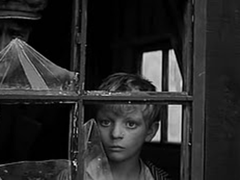 Foto 7 de Viva a República