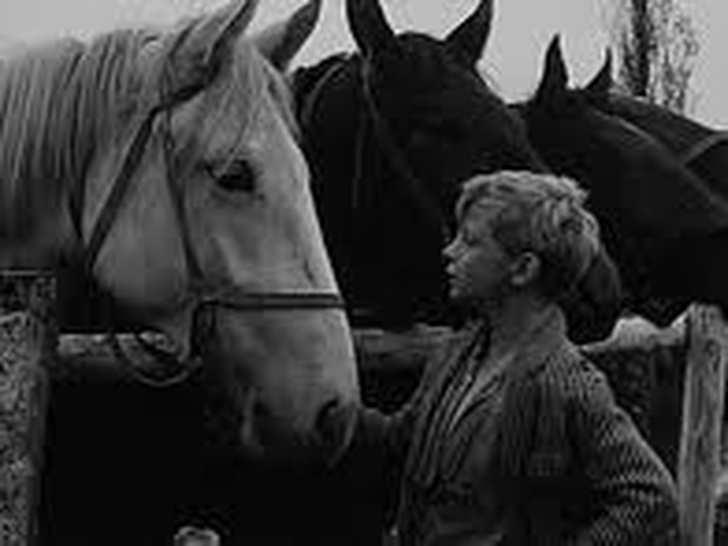 Foto 13 de Viva a República