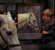 Goodbye, Dolly