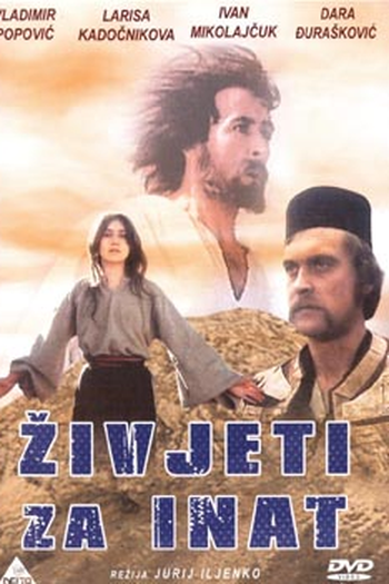 Poster de Filme Desafiando a Todos (1972)