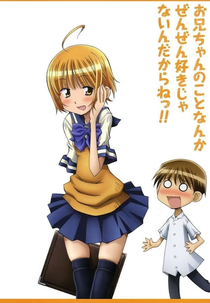 Oniichan no Koto nanka Zenzen Suki ja Nai n da kara ne!! Special (Oniichan no Koto nanka Zenzen Suki ja Nai n da kara ne!! Special)