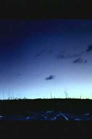 Poster de Curta Transubstancial (2003)