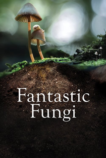 Fungos Fantásticos - Poster / Capa / Cartaz - Oficial 3