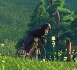 The Race