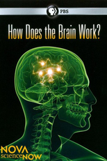 How Does the Brain Work? (How Does the Brain Work?)