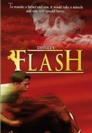 Meu Amigo Flash (Flash)