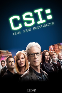 CSI: Investigação Criminal  (15ª Temporada) - Poster / Capa / Cartaz - Oficial 2