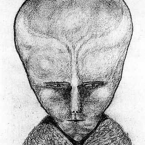 Foto de perfil de Bernardo