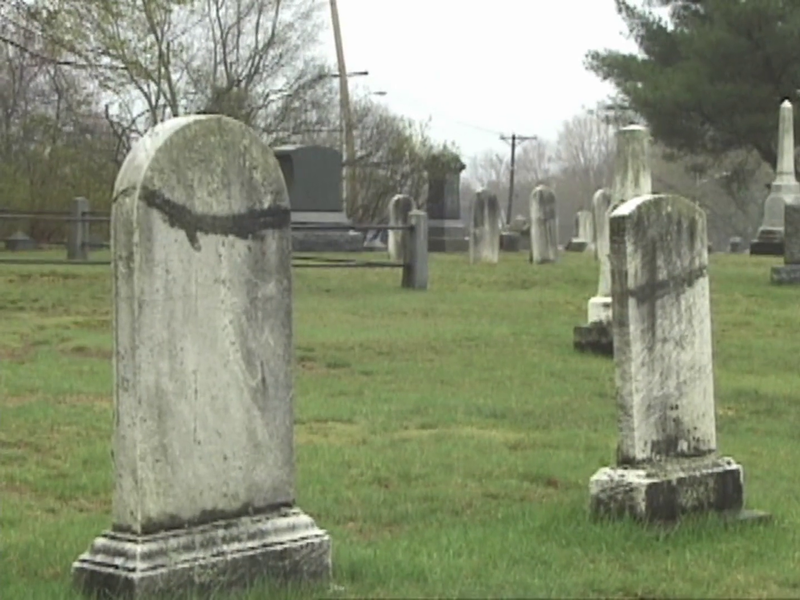 Foto 6 de Bone Sickness