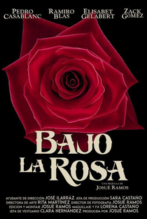 O Enigma da Rosa - Poster / Capa / Cartaz - Oficial 1