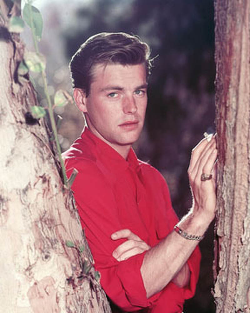 Robert Wagner - Foto 2