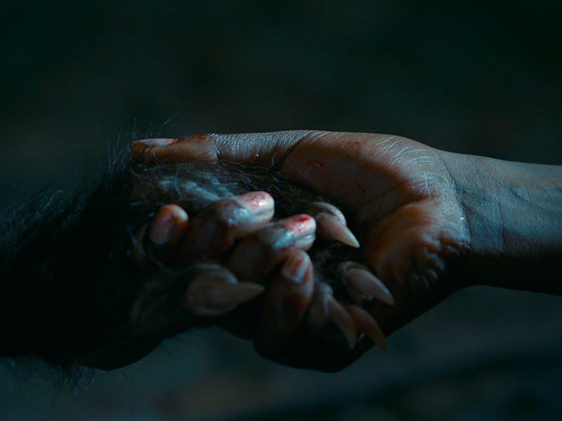 Foto 2 de As Boas Maneiras