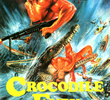 Crocodile Fury