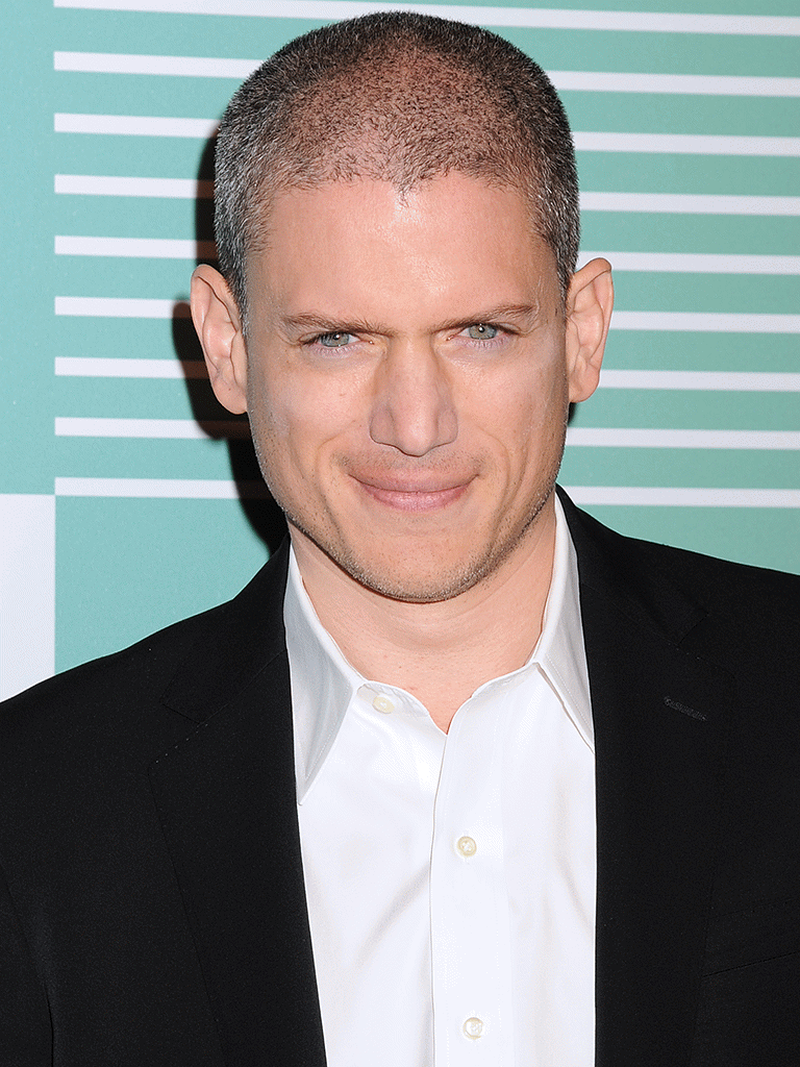Wentworth Miller - Foto 4
