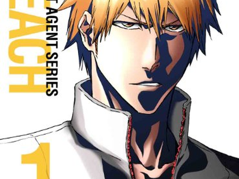 Foto 1 de Bleach (16ª Temporada)