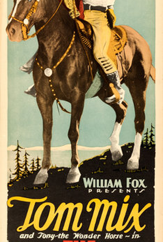 Poster 1 de Filme O Gato do Arizona (1927)