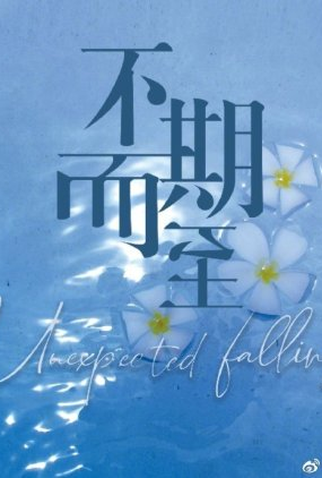 Poster 2 de Série Unexpected Falling (2022)