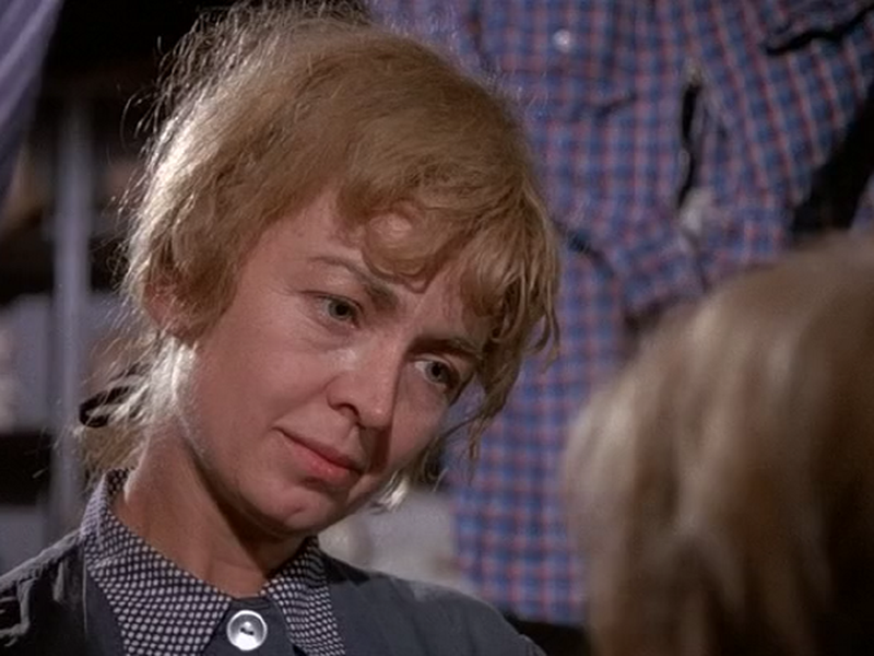 Foto 5 de A Fantástica Fábrica de Chocolate