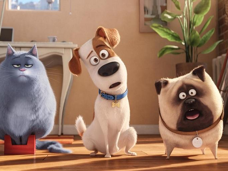 Foto 4 de Pets: A Vida Secreta dos Bichos