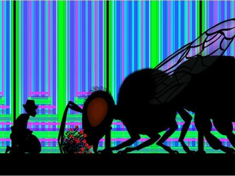 Foto 4 de Contos da Noite