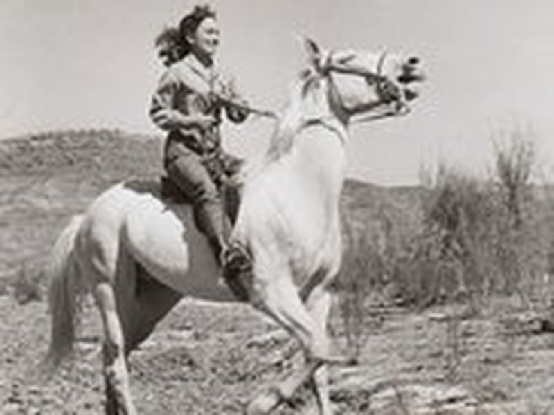 Foto 4 de Escrava do Ódio