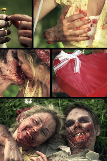 Poster de Curta Rotting Hill (2011)