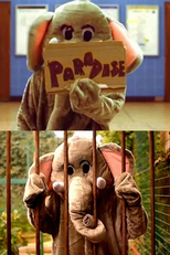 Coldplay: Paradise (Coldplay: Paradise)