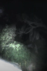 Pablo Altar: Rushes (Pablo Altar: Rushes)