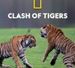 Fúria de Tigres