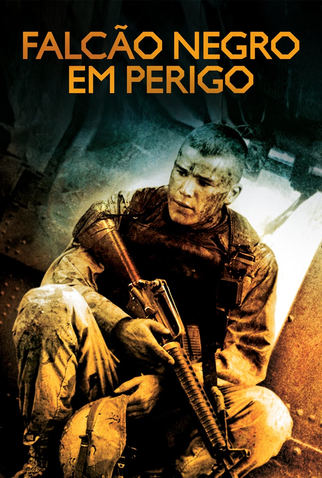 Poster 16 de Filme Falcão Negro em Perigo (2001)
