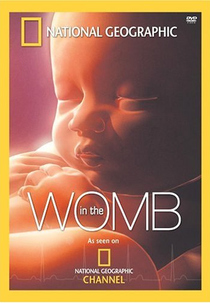 Vida no Ventre (In the womb)